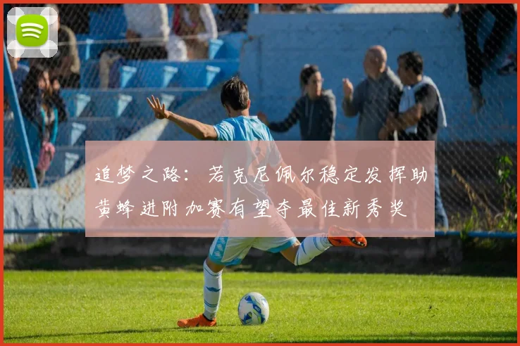 追梦之路：若克尼佩尔稳定发挥助黄蜂进附加赛有望夺最佳新秀奖