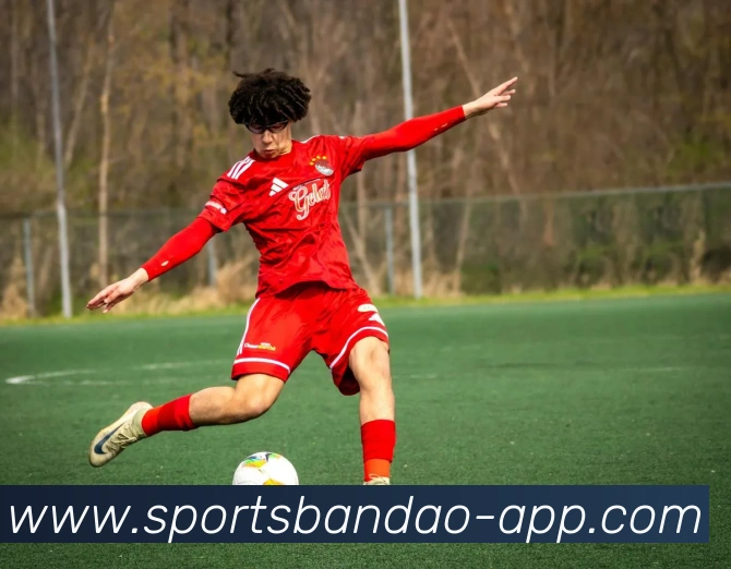 半岛体育全站App